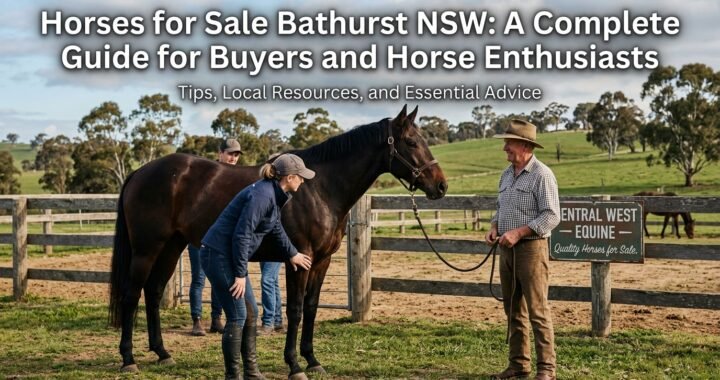 Horses for Sale Bathurst NSW: A Complete Guide for Buyers and Horse Enthusiasts